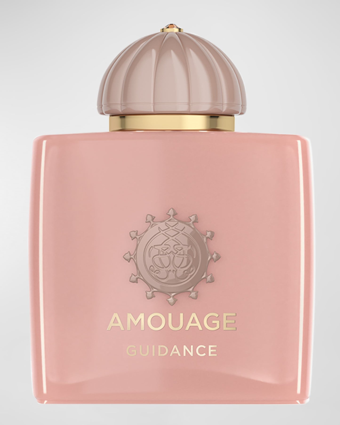 Amouage Guidance Eau de Parfum 100ml